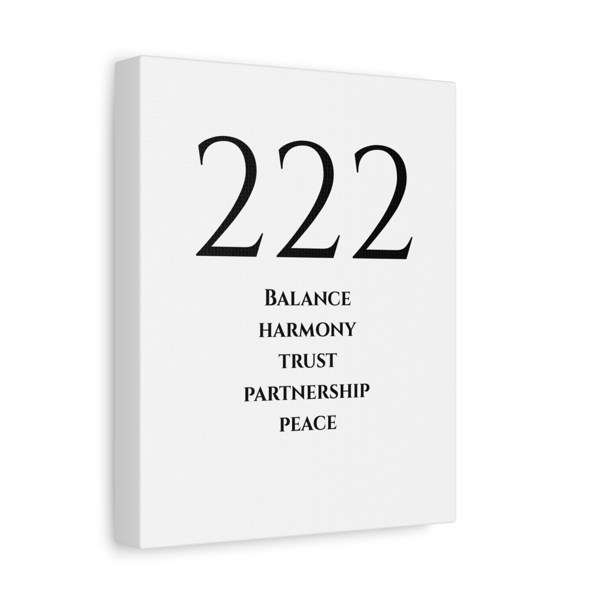 222 Matte Stretched Canvas