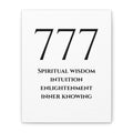 777 Matte Stretched Canvas