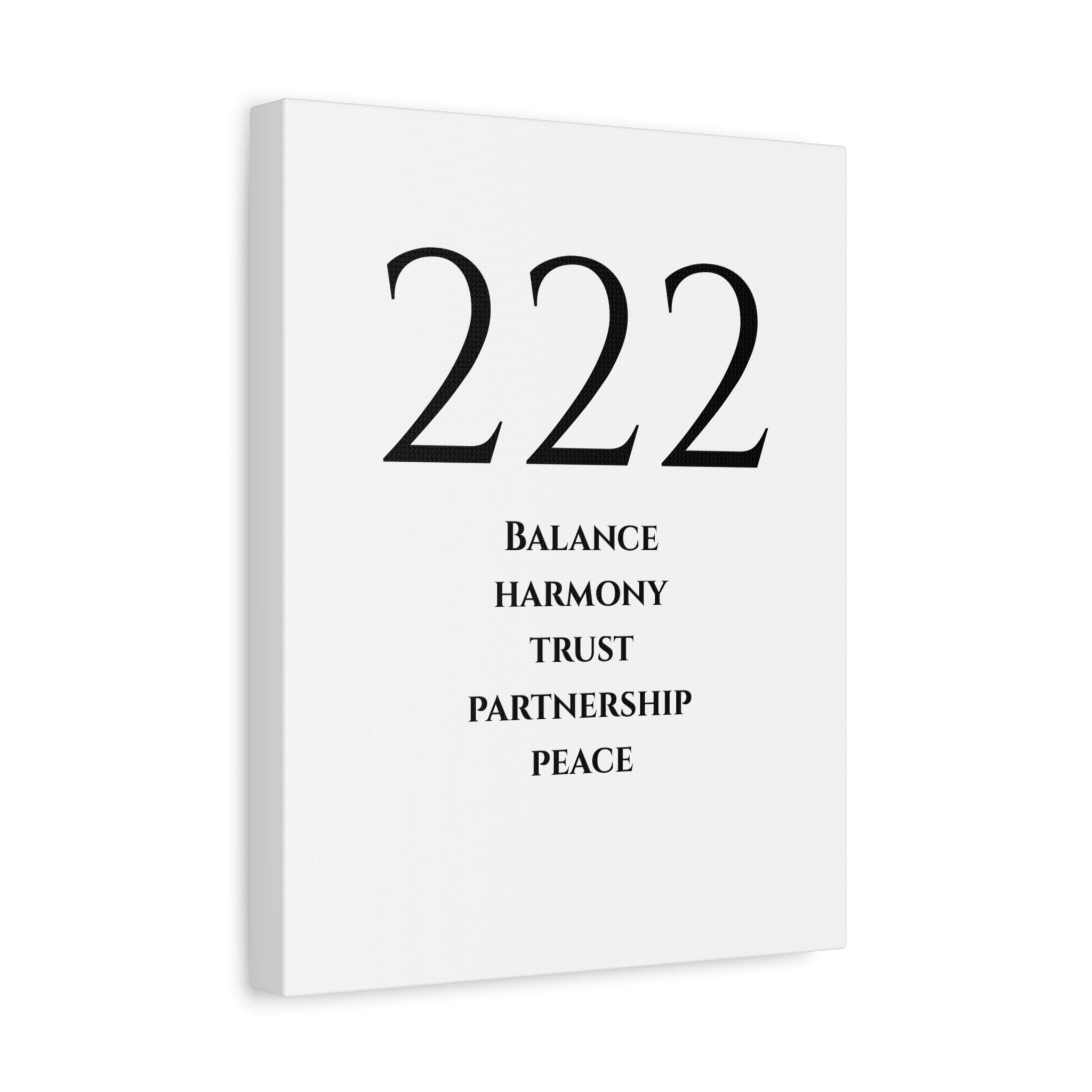 222 Matte Stretched Canvas